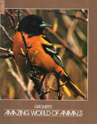 Image of Amazing World of Animals 8 ; Birds