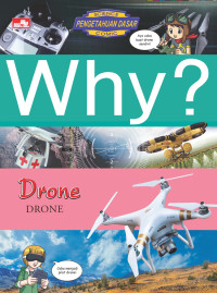 Image of Why ? DRONE
