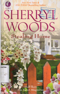 Image of Stealing Home : Cinta yang Terenggut