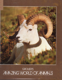 Image of Amazing World of Animals 2 ; Mammals