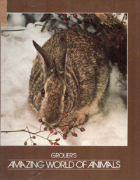 Image of Amazing World of Animals 6 ; Mammals