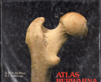 Image of Atlas Berwarna Anatomi Manusia